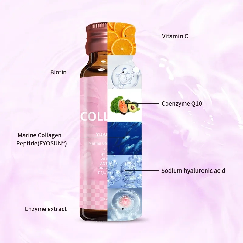 Collagen Ingredient List 5 Collagen Ingredient List 5