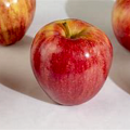 Delicious Royal Gala apple