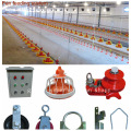 Full Set Environment Controlled Chicken Shed Machinery for Broiler