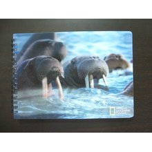 2015 personalizadas cuadernos de alta calidad en tecnología 3D