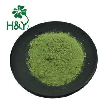 Wheat germ powder Juice wheat grass powder