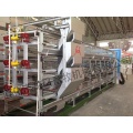 H Frame Layer Rearing Cages