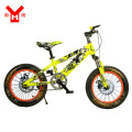Children Bicycle with Wide Tyre