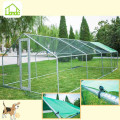 New design simple chicken coop