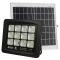 100W LED Solar Flutlichter