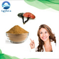 Ganoderma extrait polysaccharide ganoderma lucidum poudre