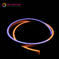 Flex Addressable Waterproof IP68 Neon LED Strip Lights