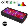 Hot Veg / Bloom LED élèvent la lumière pour les plantes médicales