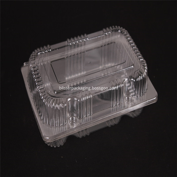 plastic cake container