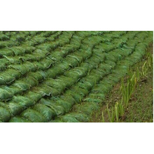 Plantando Geobag para a proteção da encosta