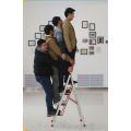 Aluminum household D type ladder