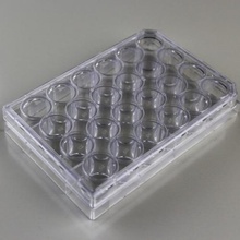 24 Well Cell Culture Plate