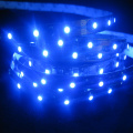 DC12V / 24V SMD5050 LED Cuerda de luz