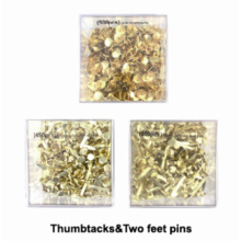 Two Feet Pins for office use