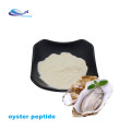 Oyster Pure Oystra Pó de Oyster peptídeo em pó