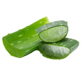 Professional Herbal Extract aloe vera extract powder