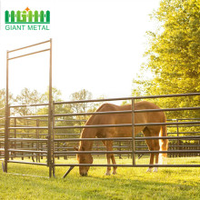 Customized 4inch Garden Plastic Composite horse Fence