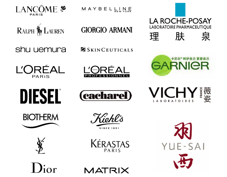 L'Oreal Audit Supplier