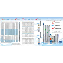 4 Inch and 6 Inch Submersible Pump and Motor