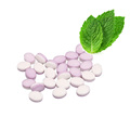 sugar free stevia breath mints