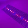 5050 LED Plant Grow Light Rigid Bar Strip