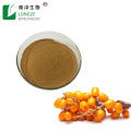 Sea Buckthorn Berry Extract Sea buckthorn fruit powder