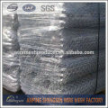 Galvanize wire netting/gabion mesh /chicken wire mesh