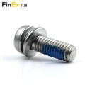 Stainless Steel Torx Pan Head SEMS Screw with Spring Washer