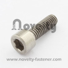 Titanium Hex Socket Screw