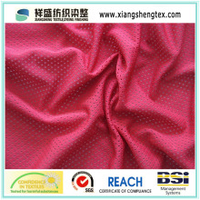 5X1 FDY Eyelet Mesh Fabric