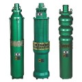 Fish Pond Sea Water Stainless Steel Submersible Pump