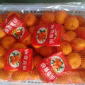 Golde Supplier of Sweet Baby Mandarin