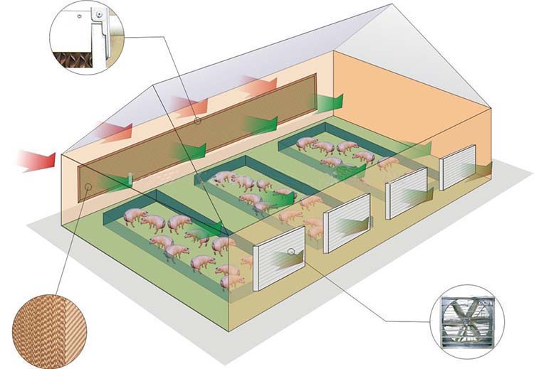 Cooling System For Poultry