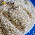 Organics Removal Ion Exchange Resin