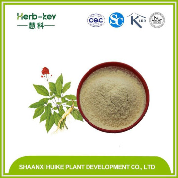 Ginseng Extract, Ginsenosides, Panax Ginseng Root Extract