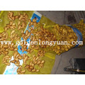 Fresh Ginger Good Quality in Mesh Bag