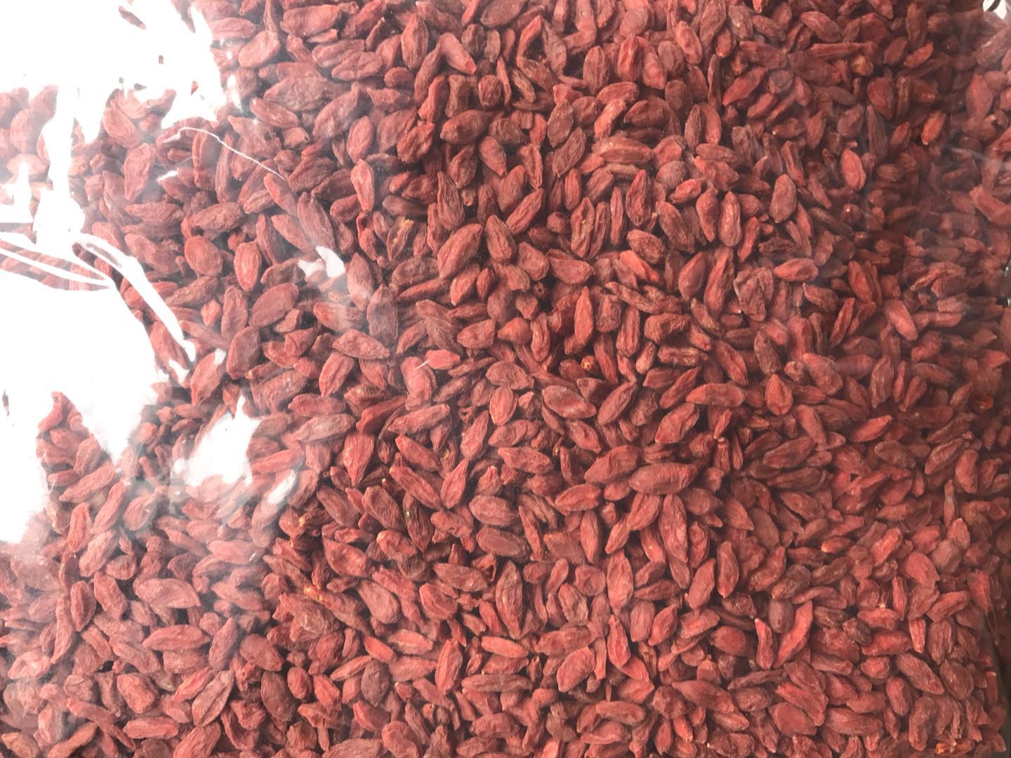 Eu Standard goji berry