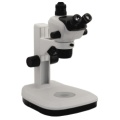 Broscope BS-3048t4 Zoom Microscope stéréo