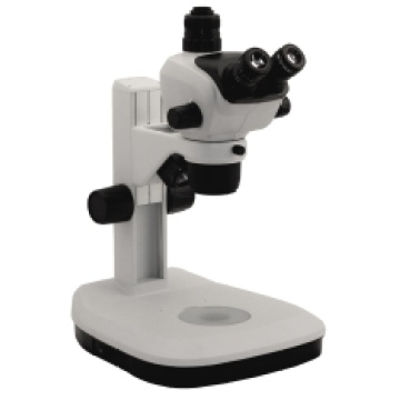 Bestscope BS-3048t4 Zoom Microscopio Estéreo