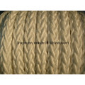 Danline / High Performance Mooring Rope