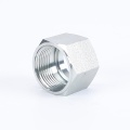 Cap Nuts Pipe Fittings Stainless Steel Hexagon Nut