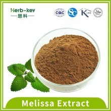 Antibacterial activity 3% rosmarinic acid Melissa Extract