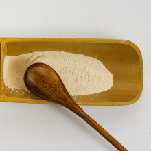 Chinese and Western Seasoning Baked Onion Powder