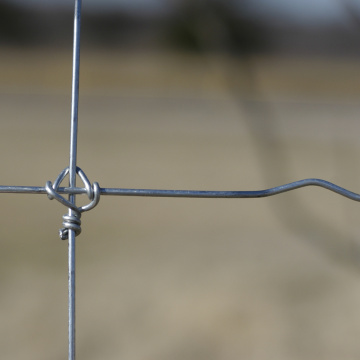 Hot Dipped Galvanized Fixed Knot Field Fence