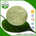 100% Water Soluble Fertilizer NPK 19-19-19+Te NPK Compound Fertilizer