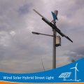 DELIGHT Residential Wind Solar Hybrid Street Light