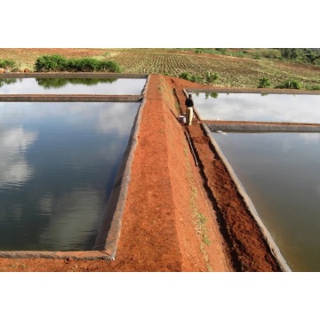 Aquaculture fish farming floating net cages