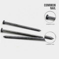 Professional Polished Common Nail with Good Quality