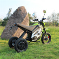 Double Motor Electric Tricycle Sport Model For Racing