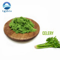 Organic Vegetable Powder Celery Juice Powder/Celery Powder